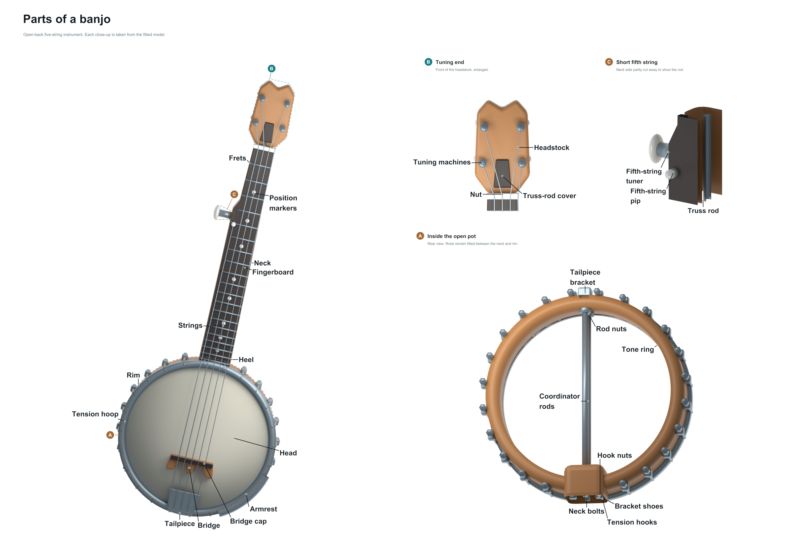 parts of a banjo diagram