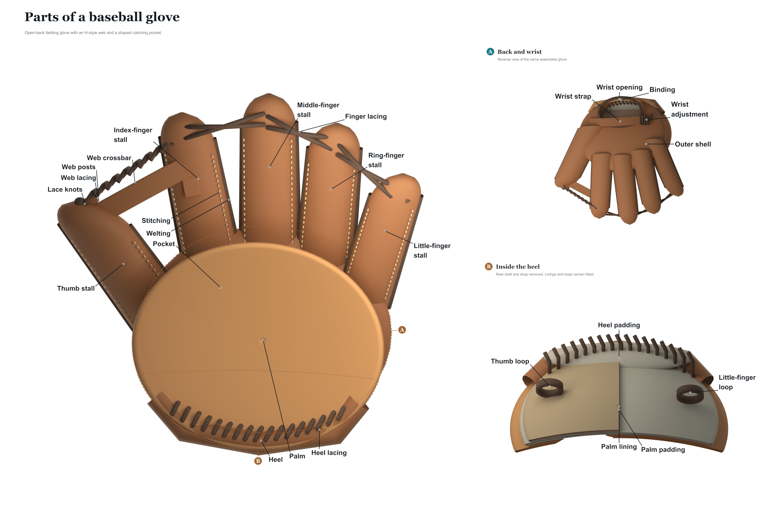 parts of a baseball glove diagram