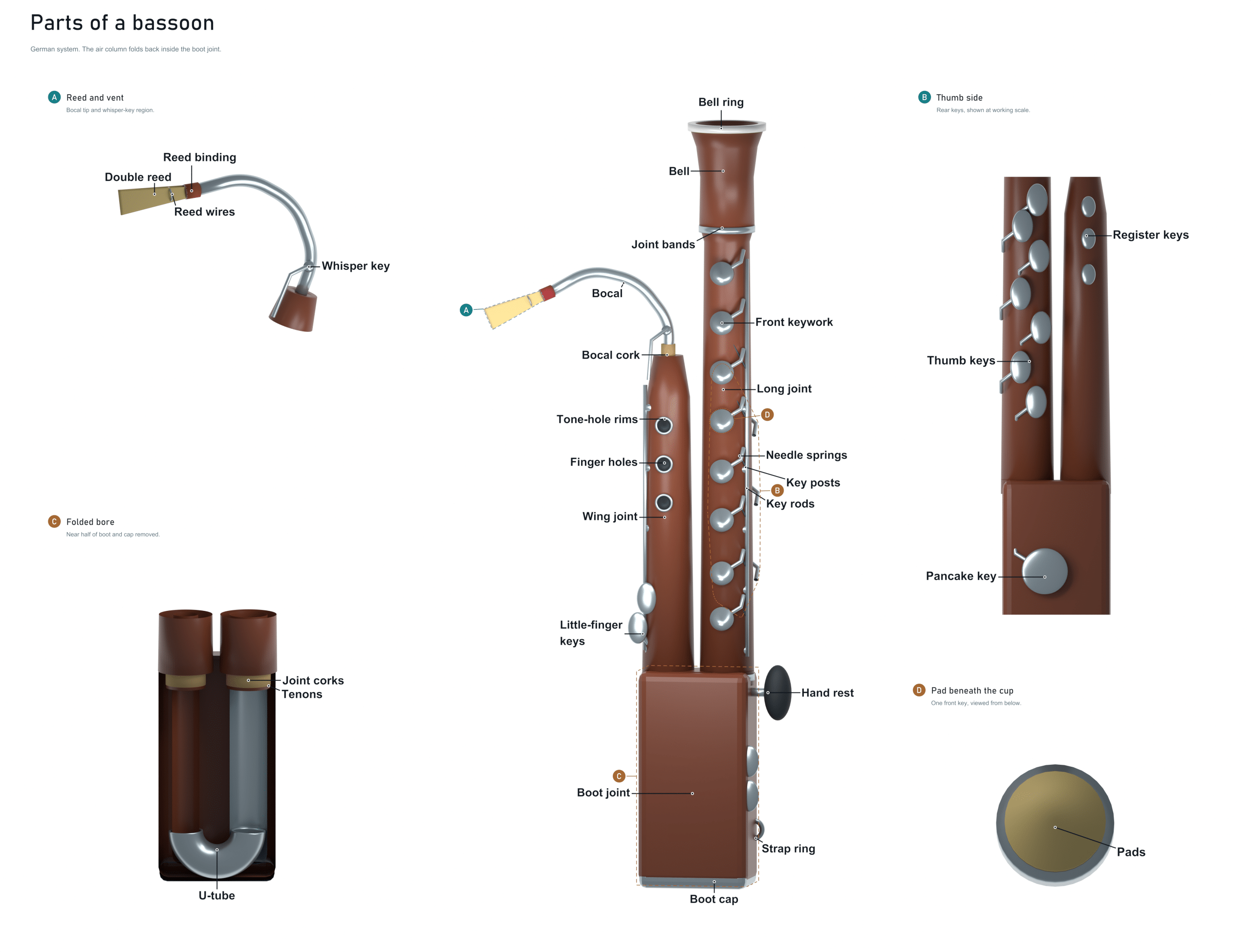 parts of a bassoon diagram
