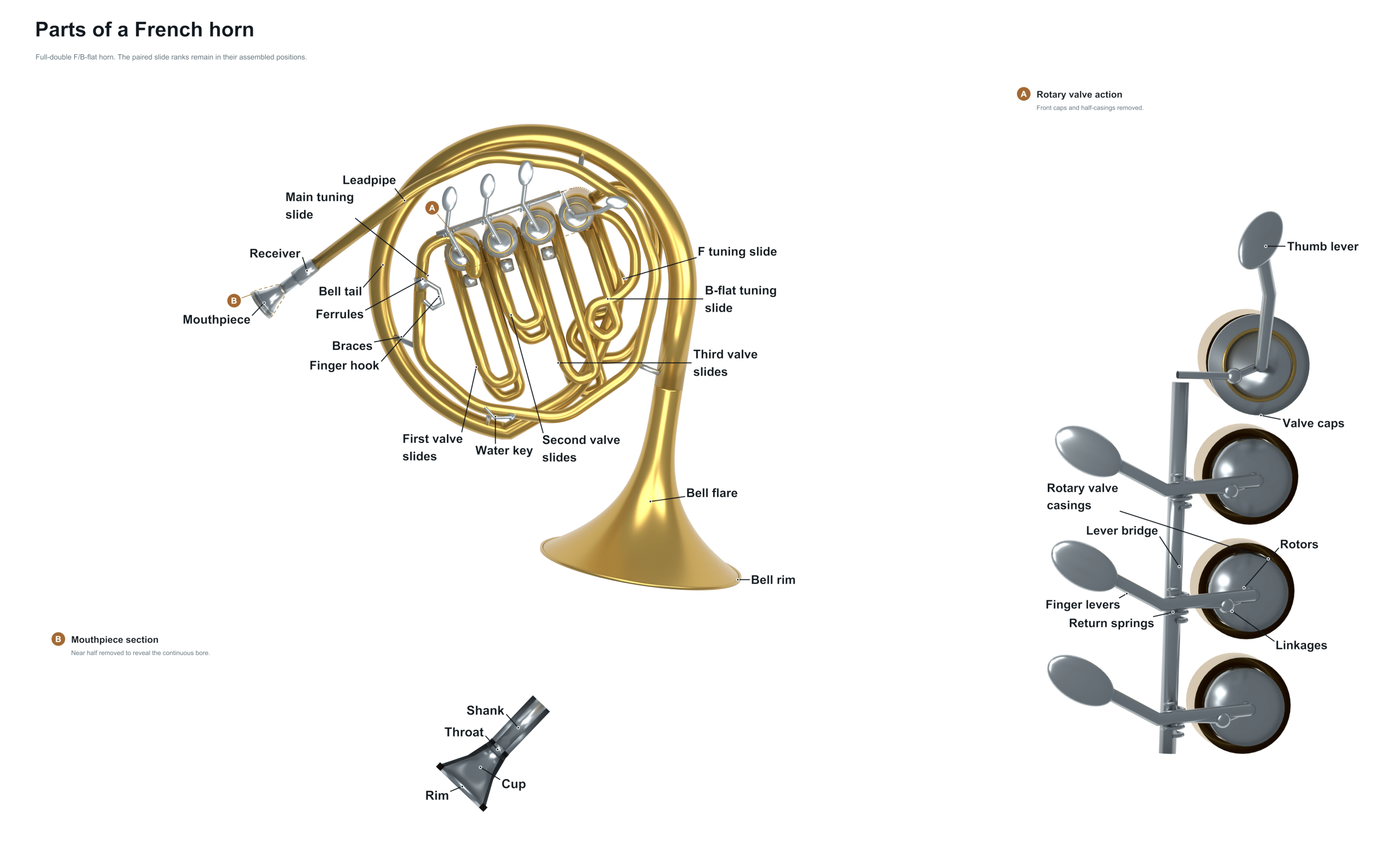 parts of a french horn diagram
