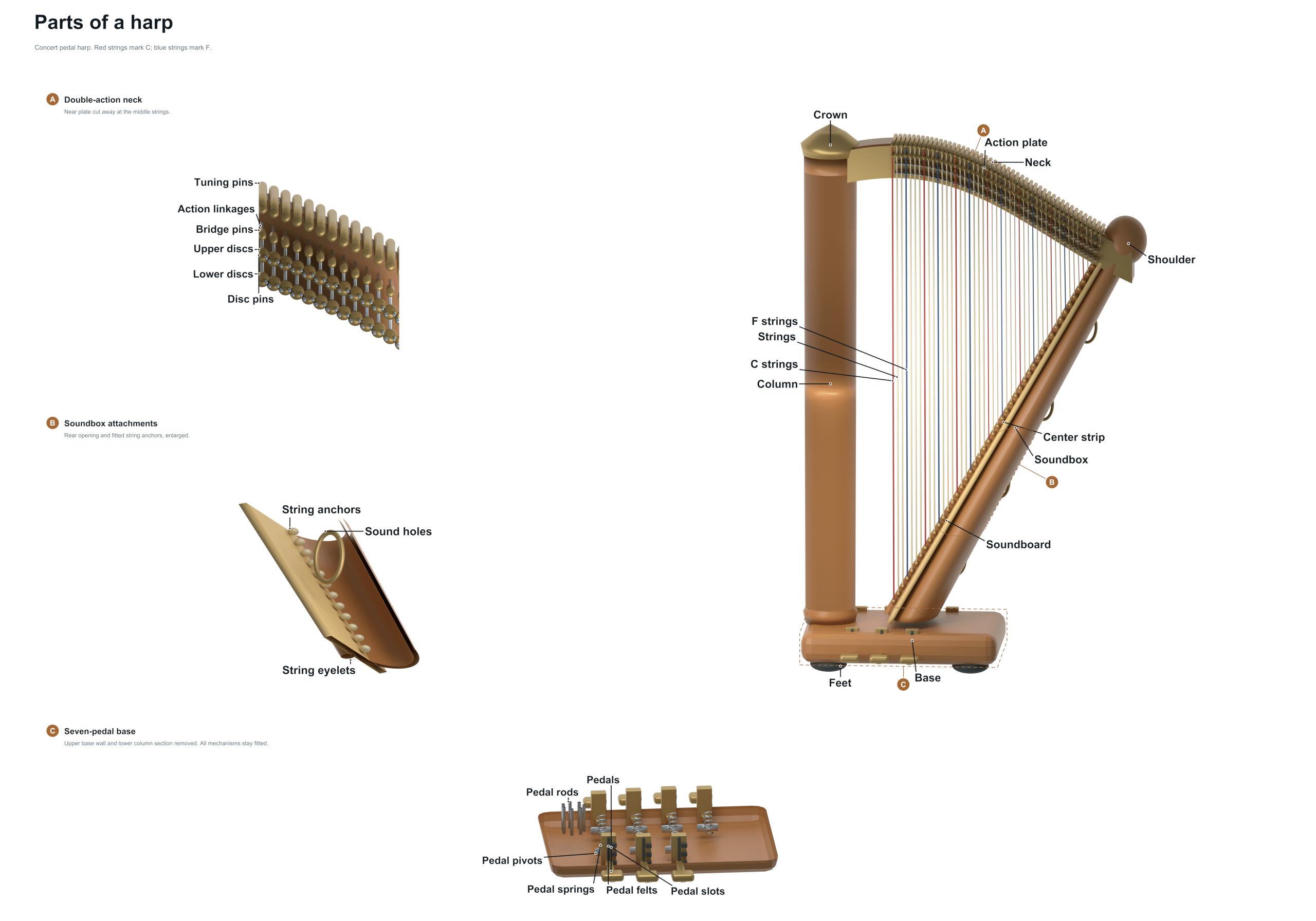 parts of a harp diagram