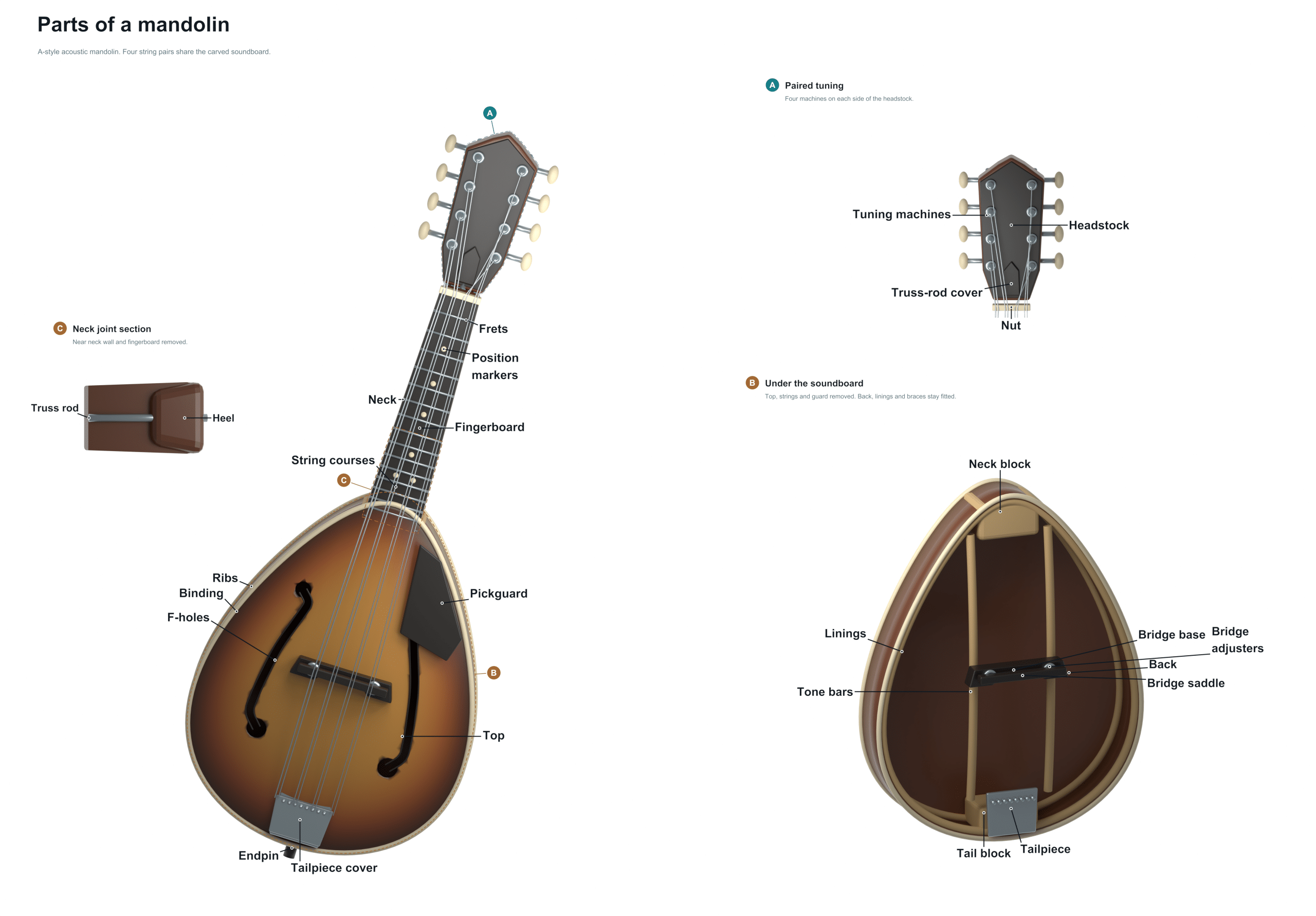 parts of a mandolin diagram