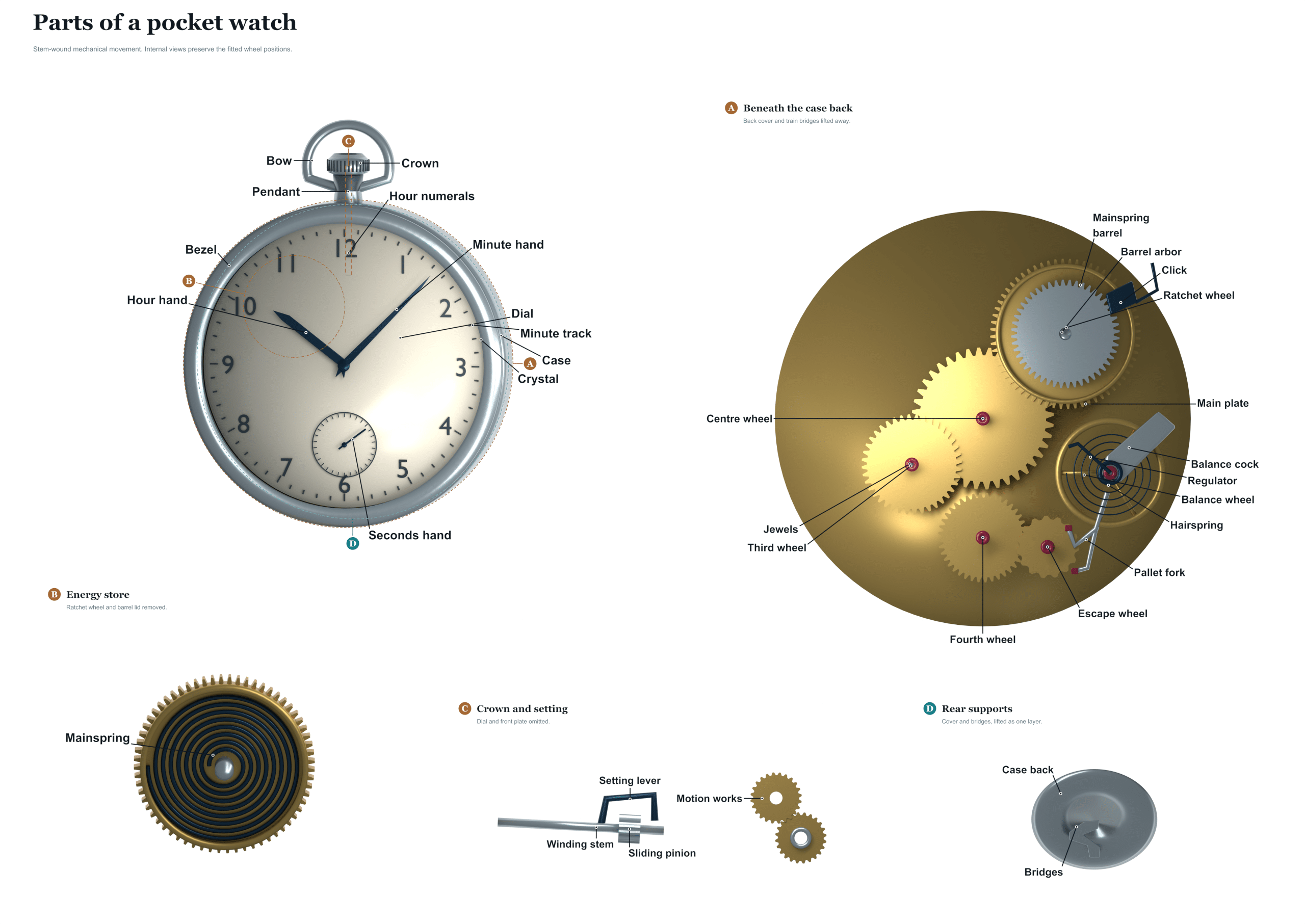parts of a pocket watch diagram