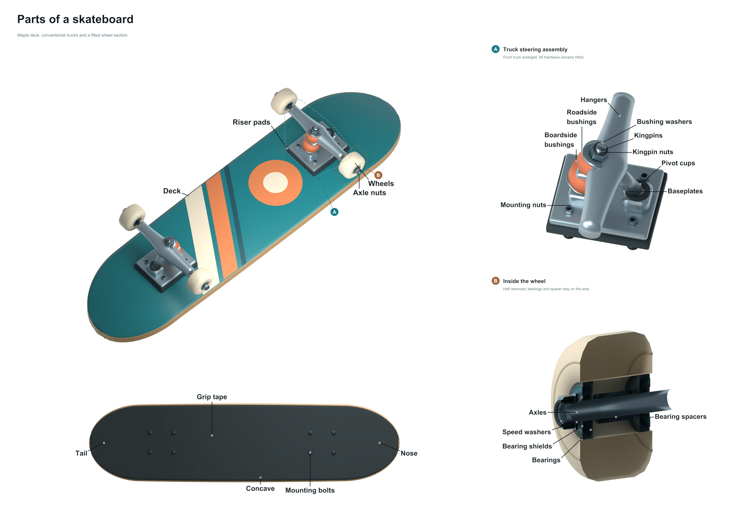 parts of a skateboard diagram