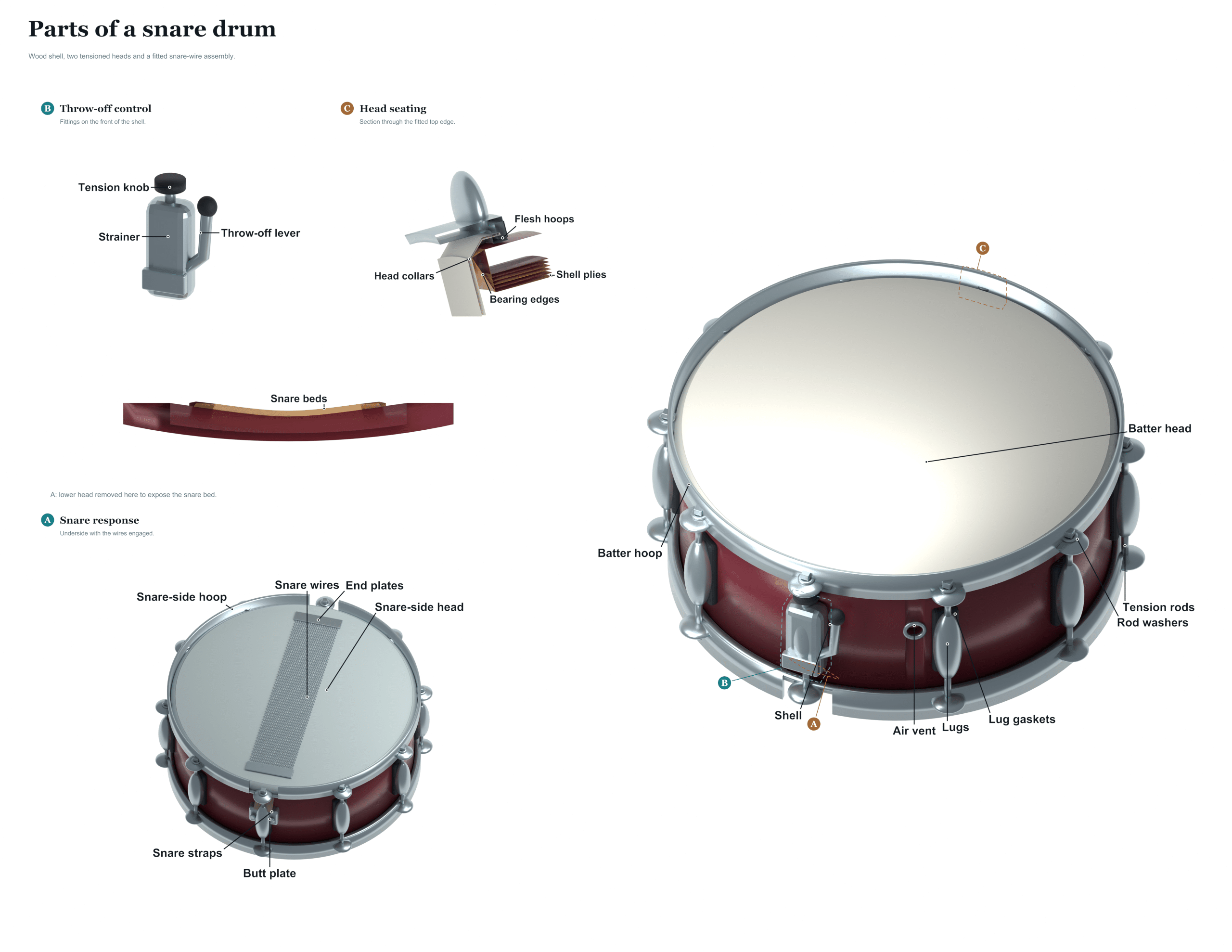 parts of a snare drum diagram