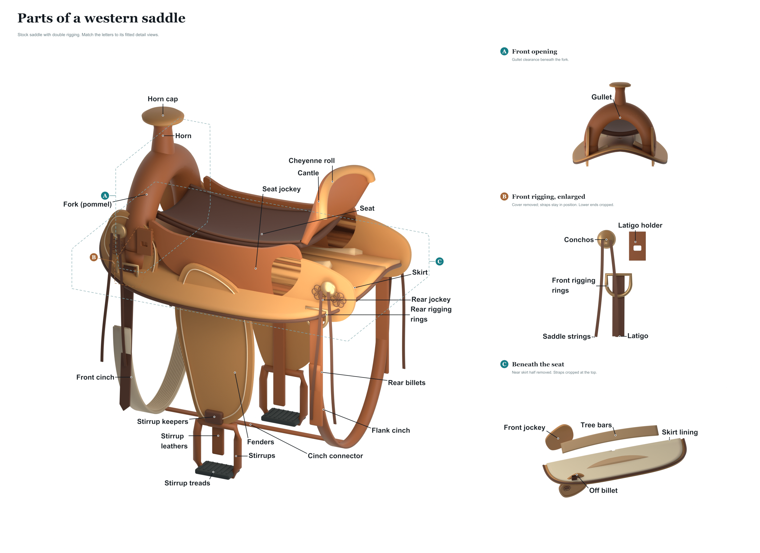 parts of a western saddle diagram