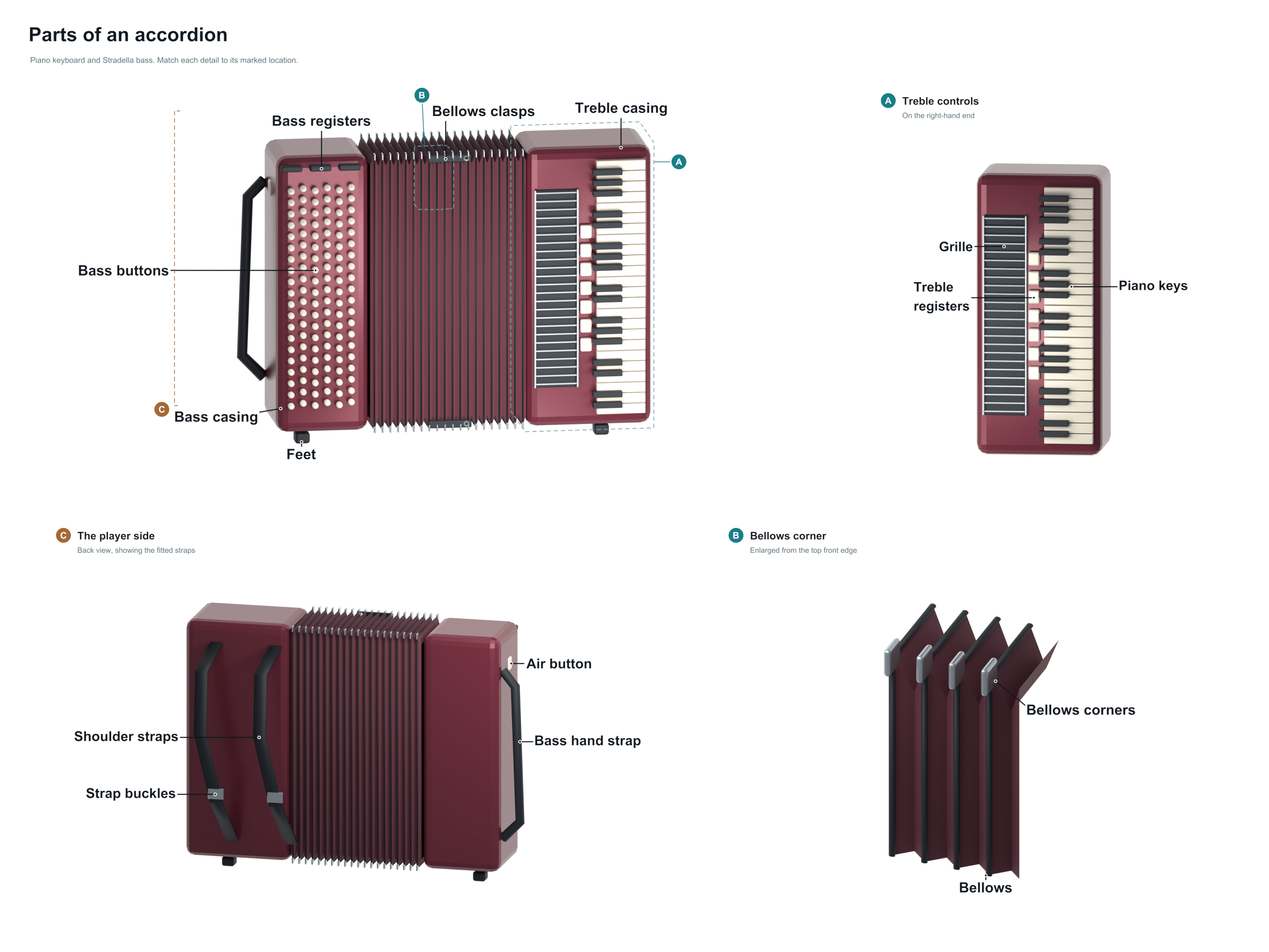 parts of an accordion diagram