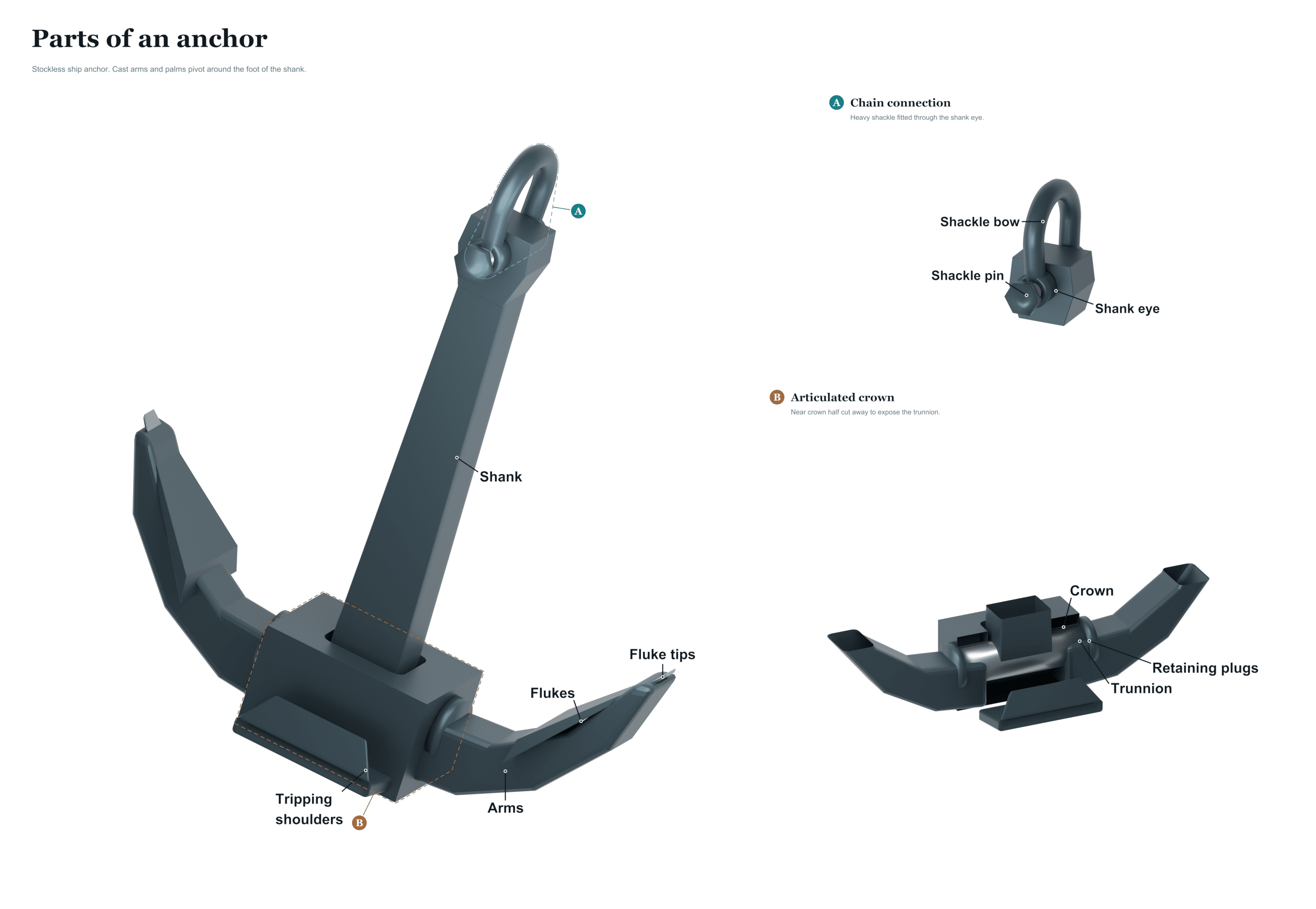 parts of an anchor diagram