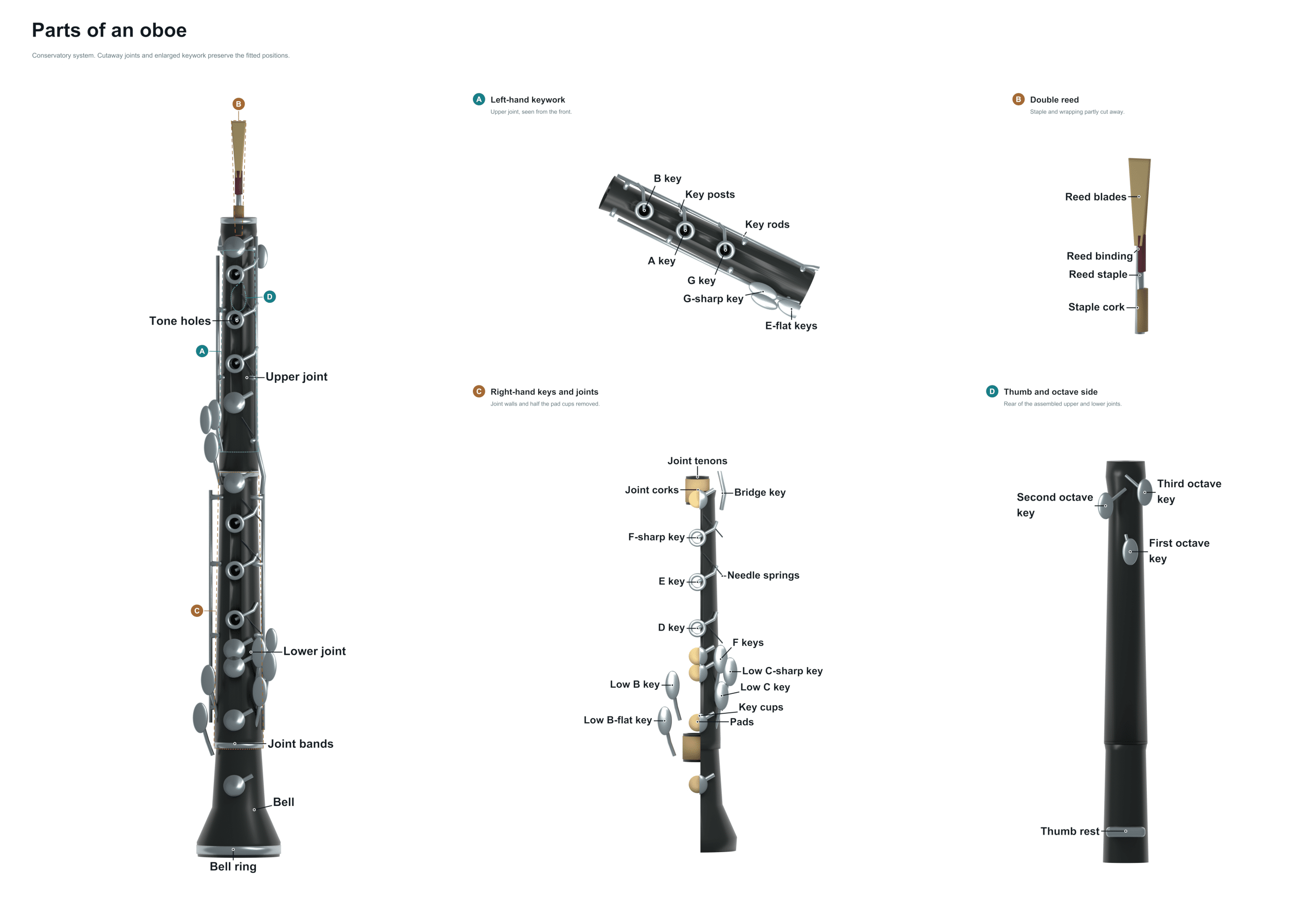 parts of an oboe diagram